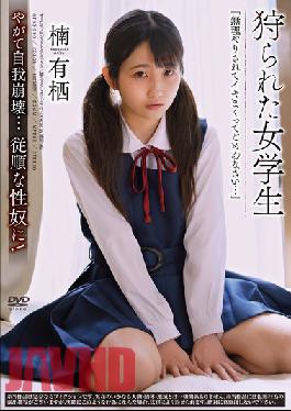 APNS-290 JAV Video