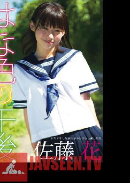 CMP-003 สตูดิโอ คาเมรอน จี ซาโตะ ฮานะ ยามบ่ายแห่งสีสันดอกไม้