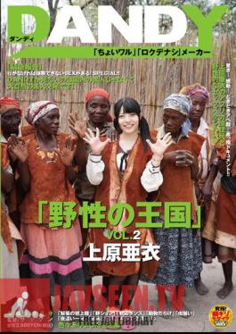 Mosaic DANDY-368 “อาณาจักรแห่งป่า” VOL.2 Ai Uehara