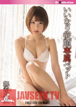 DCOL-014 Studio D*Collection สัตว์เลี้ยงสุดพิเศษของฉัน Mai Satsuki