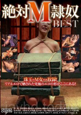DDT-544 แน่นอน M __ ดีที่สุด