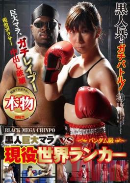 BDD-40 Studio Global Media Entertainment Cocks สีดำขนาดใหญ่กับนักมวย Bantam Weight ระดับโลก