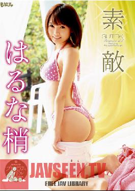GSAD-03 Kozue Haruna นีซ