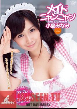 โมเสก DV-1378 มินามิโคจิมะทำ De Meow
