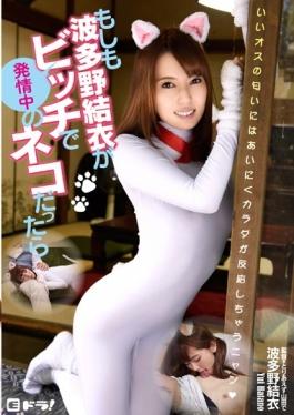 EDRG-009 – เมื่อไหร่ที่แมวตกเป็นเหยื่อถ้า Hatano Yui Bitch – E Dora!