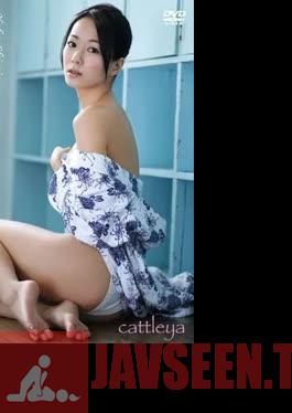 ENFD-5477 ยูโกะ ชิมิสึ – แคทลียา