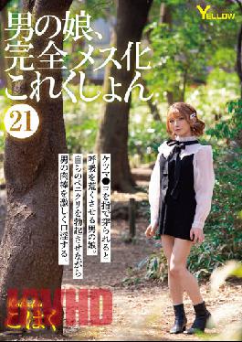 HERY-123 JAV Video