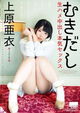 HODV-21141 เพศที่จริงจัง Uehara Ai Out Bare Live In Saddle