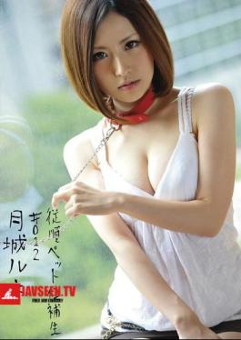 Mosaic INU-028 # 012 ผู้สมัครฝึกสุนัขเชื่อฟังคำสั่ง Rene Castle Mon