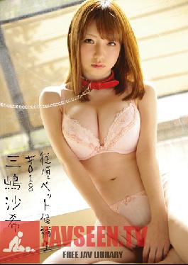 INU-035 Studio Prestige สัตว์เลี้ยงที่ภักดีของฉัน #018 Saki Mishima