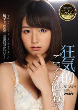 IPX-040 – Natsukawa Hokkaido ยกบ้าน! – – Crazy Cum กำลังโหลดการคุมขัง – IDEA POCKET