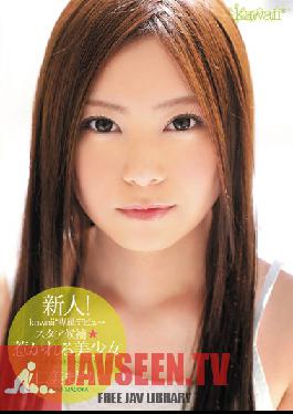 KAWD-390 สตูดิโอ หน้าใหม่สุดน่ารัก! เปิดตัวสุดเอ็กซ์คลูซีฟ – ดาวเด่นที่น่าจับตามอง: มาโดกะ ฮิโตมิ สาวสวยสุดเซ็กซี่