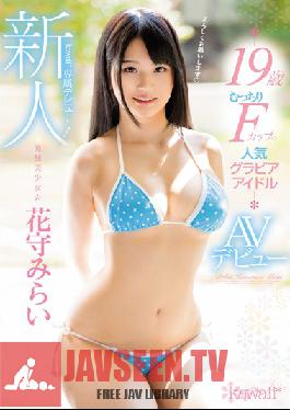 KAWD-827 สตูดิโอหน้าใหม่สุดน่ารัก! เปิดตัวครั้งแรกแบบเอ็กซ์คลูซีฟ: การค้นพบสาวสวย! มิไร ฮานาโมริ อายุ 19 ปี เป็นดาราสาวหน้าหวานที่มีหน้าอกคัพ F อวบอั๋น นี่คือการเปิดตัวครั้งแรกของเธอในหนัง AV