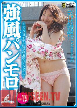 KPG-015 สตูดิโอกาคุเอ็นชา ลมแรง ถ่ายภาพกางเกงชั้นในแบบเต็มตัว! VOL.15 – เซสชั่นถ่ายภาพนางแบบสุดฮอตใน Strong Winds พิเศษ –