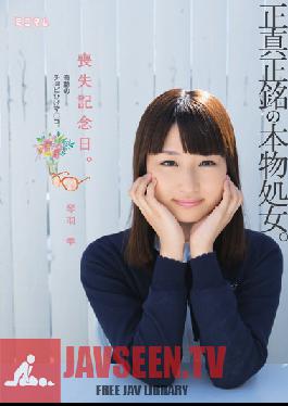 MUM-200 Studio Minimum ครบรอบการสูญเสีย พรหมจารีที่แท้จริง จิ๋มที่ตกแต่งอย่างประณีต ชิซูกุ โคโตฮาเนะ
