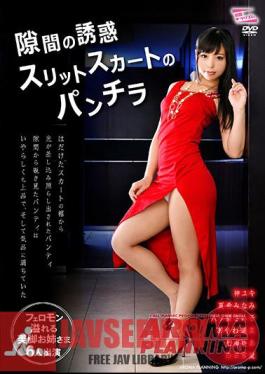 PARM-125 กระโปรงผ่าหน้า Seduction Of The Gap
