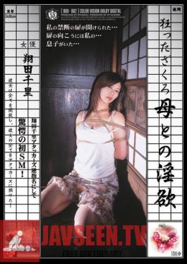 RBD-082 หลงใหลทับทิมอย่างบ้าคลั่งกับแม่ของฉัน ชิซาโตะ โชดะ
