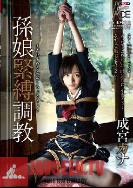 SACE-119 Studio SOD สร้าง S&M – ทำลายหลานสาวของฉัน Kana Narimiya