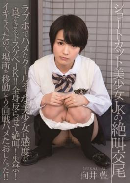SERO-313 – การมีเพศสัมพันธ์ที่กรีดร้อง Ai Mukai แห่งทางลัด Pretty JK – เรื่องโป๊เปลือย