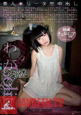 SL-016 สตูดิโอพลัมสมัครเล่น Lolita Creampie Waka