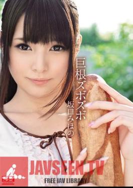 SNIS-049 ไก่ของ Zubozubo Sakaguchi Miho