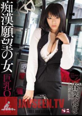 Mosaic SOE-937 สาวๆ ตามหาคนล่วงละเมิด – สาวออฟฟิศอกใหญ่ (ฮานะ ฮารุนะ)