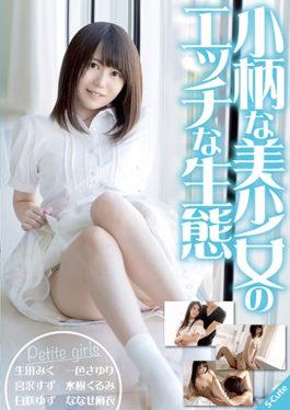 SQTE-194 – นิเวศวิทยาเงี่ยนของสาวน้อยตัวเล็ก – S-cute