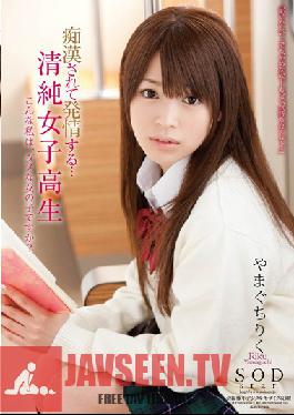 STAR-312 Studio SODCreate Yamaguchi Land To Estrus กำลังลวนลามเด็กนักเรียนสาวผู้บริสุทธิ์…