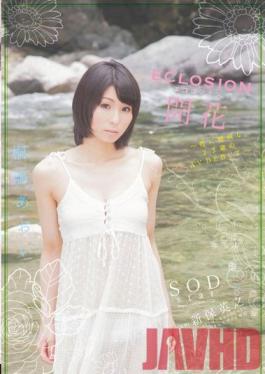 STAR-392 Studio SOD สร้าง ECLOSION Full Bloom – เปิดตัวสื่อลามกของผู้ติดเซ็กส์อายุ 23 ปี – อาโออิคิริชิมะ