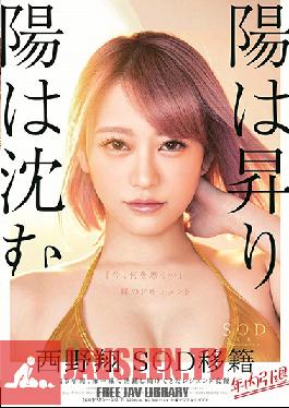 STARS-113 Studio SOD Create – ดวงอาทิตย์ขึ้นและดวงอาทิตย์ตก Sho Nishino เธอเป็นน้องใหม่ในรายชื่อนักแสดงของ SOD แต่เธอจะเกษียณภายในปีนี้เป็นเวลา 15 ปี เธอเคยอยู่แนวหน้าในฐานะนักแสดงระดับตำนาน แล้วตอนนี้เธอคิดอะไรอยู่… สารคดีของ N