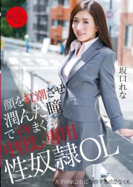 TBTB-059 – ทาสทางเพศโดยเฉพาะ OL Rena Sakaguchi Out In That Spree Alive In The Student That Junn To Flush The Face – Crystal Eizou