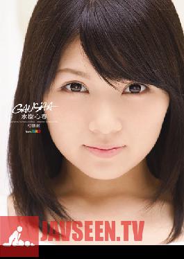 TEAM-006 สตูดิโอ ทีมZERO GANSHA Koharu Mizuki