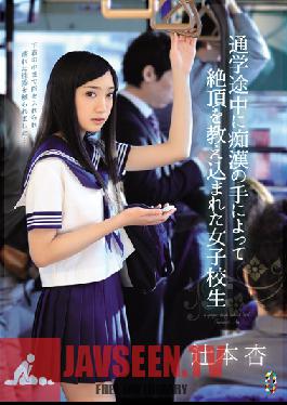 TEAM-065 สตูดิโอทีม ZERO เด็กนักเรียนหญิงได้รับการสอนบทเรียนแห่งความสุขโดยมือของผู้ล่วงละเมิดทางเพศระหว่างทางไปโรงเรียน นำแสดงโดย แอนน์ สึจิโมโตะ