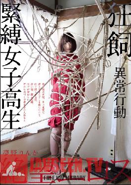 ZBES-034 สตูดิโอ Zetsubo Eros/Mousouzoku Eros Company Of Despair ริงก้า ยูเมโนะ ความเป็นทาสที่บ้าคลั่งและผิดปกติ
